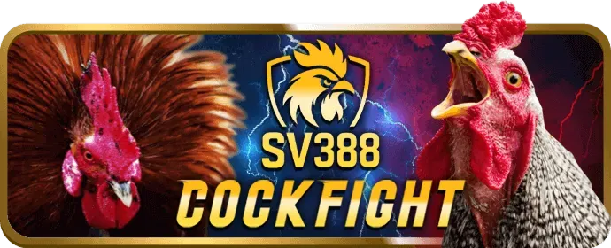Hình ảnh người chơi đặt cược thể thao trên nền tảng bet168 win một cách an toàn và hiệu quả